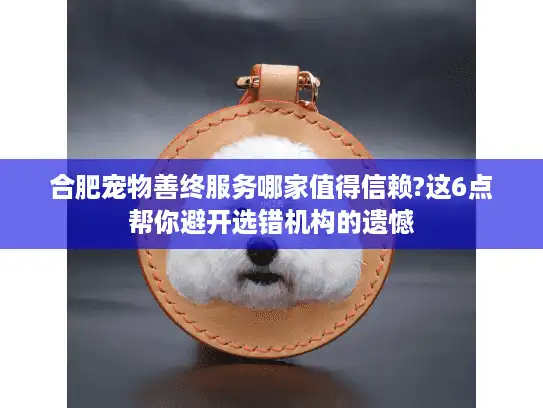 合肥宠物善终服务哪家值得信赖?这6点帮你避开选错机构的遗憾
