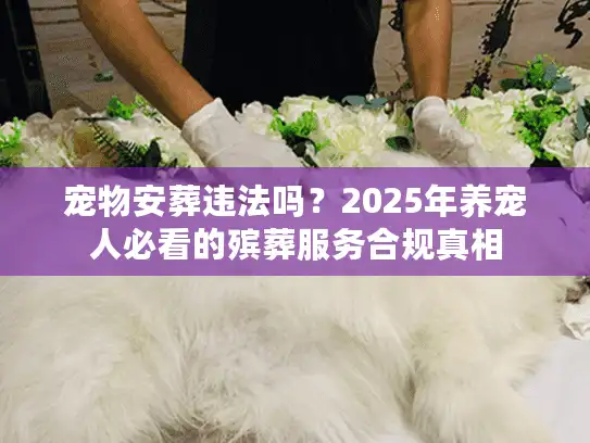 宠物安葬违法吗？2025年养宠人必看的殡葬服务合规真相