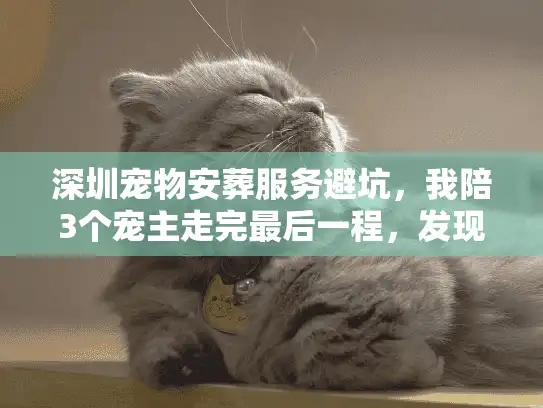 深圳宠物安葬服务避坑，我陪3个宠主走完最后一程，发现这些真相必须说