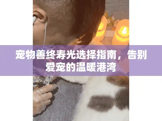 宠物善终寿光选择指南，告别爱宠的温暖港湾