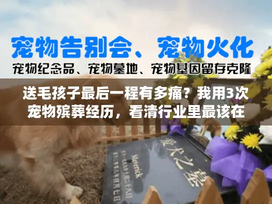 送毛孩子最后一程有多痛？我用3次宠物殡葬经历，看清行业里最该在意的3件事
