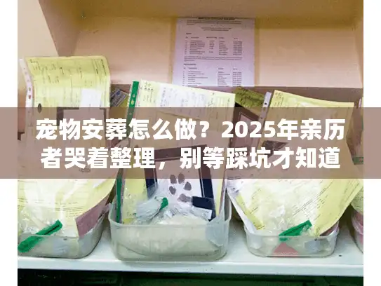 宠物安葬怎么做？2025年亲历者哭着整理，别等踩坑才知道这些事