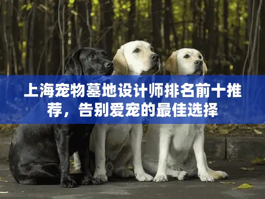 上海宠物墓地设计师排名前十推荐，告别爱宠的最佳选择