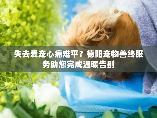 失去爱宠心痛难平？德阳宠物善终服务助您完成温暖告别