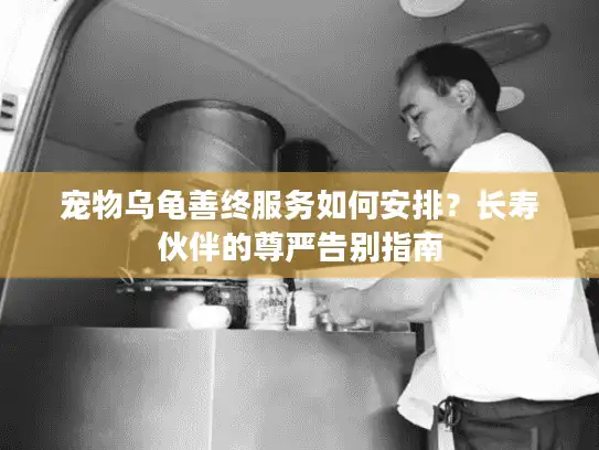 宠物乌龟善终服务如何安排？长寿伙伴的尊严告别指南