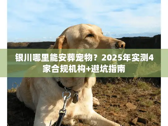 银川哪里能安葬宠物？2025年实测4家合规机构+避坑指南