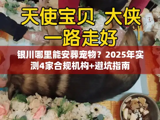 银川哪里能安葬宠物？2025年实测4家合规机构+避坑指南