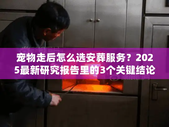 宠物走后怎么选安葬服务？2025最新研究报告里的3个关键结论，帮你避开90%的遗憾