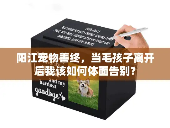 阳江宠物善终，当毛孩子离开后我该如何体面告别？