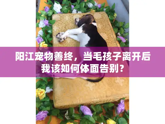 阳江宠物善终，当毛孩子离开后我该如何体面告别？