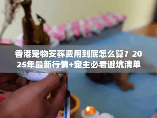 香港宠物安葬费用到底怎么算？2025年最新行情+宠主必看避坑清单