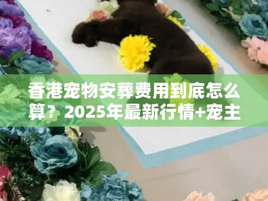 香港宠物安葬费用到底怎么算？2025年最新行情+宠主必看避坑清单