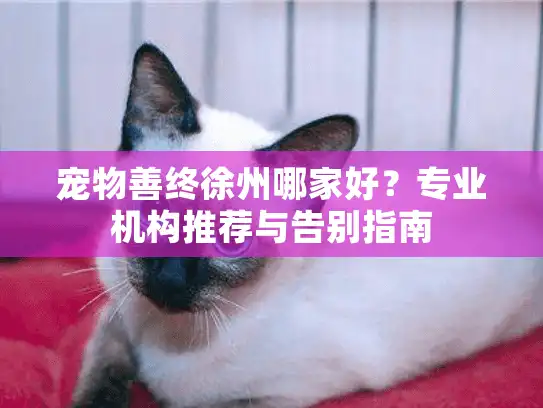 宠物善终徐州哪家好？专业机构推荐与告别指南