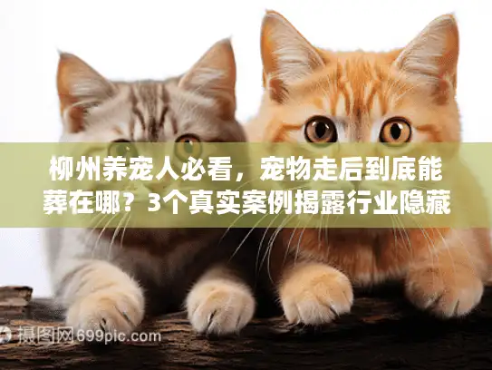 柳州养宠人必看，宠物走后到底能葬在哪？3个真实案例揭露行业隐藏规则