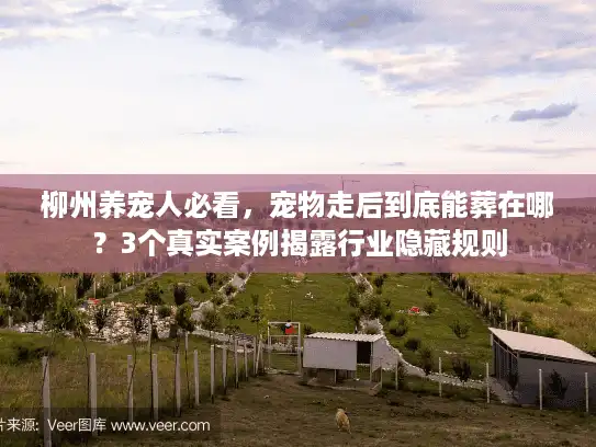 柳州养宠人必看，宠物走后到底能葬在哪？3个真实案例揭露行业隐藏规则