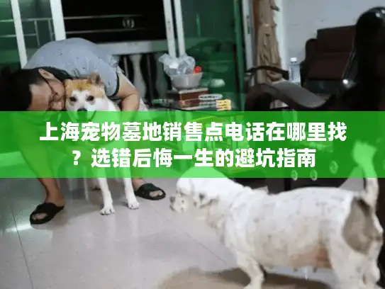 上海宠物墓地销售点电话在哪里找？选错后悔一生的避坑指南