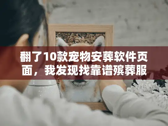 翻了10款宠物安葬软件页面，我发现找靠谱殡葬服务的关键全在这些图片里