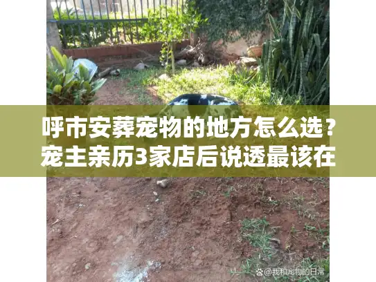呼市安葬宠物的地方怎么选？宠主亲历3家店后说透最该在意的5件事