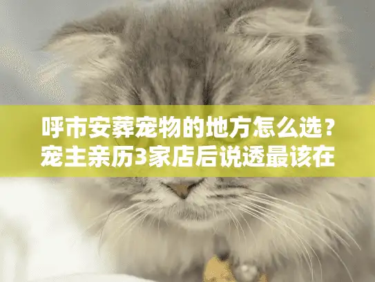 呼市安葬宠物的地方怎么选？宠主亲历3家店后说透最该在意的5件事