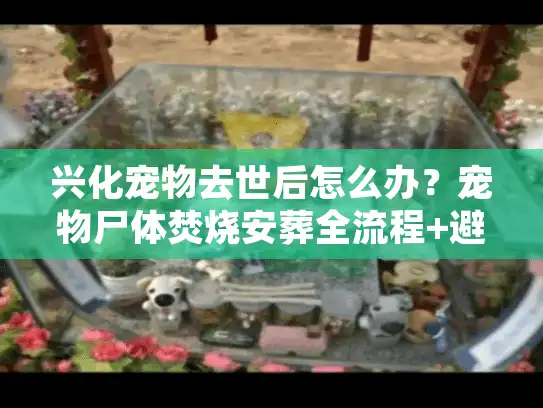 兴化宠物去世后怎么办？宠物尸体焚烧安葬全流程+避坑指南来了