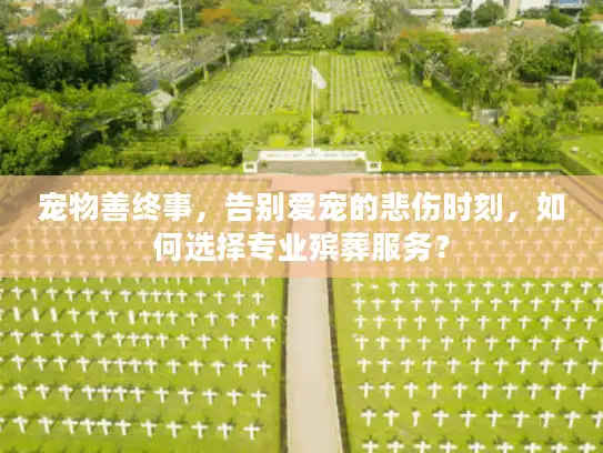 宠物善终事，告别爱宠的悲伤时刻，如何选择专业殡葬服务？