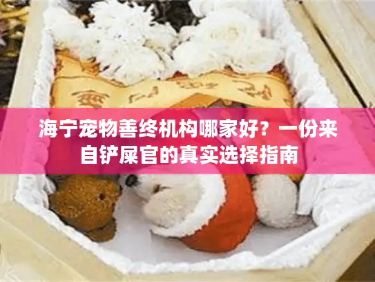 海宁宠物善终机构哪家好？一份来自铲屎官的真实选择指南