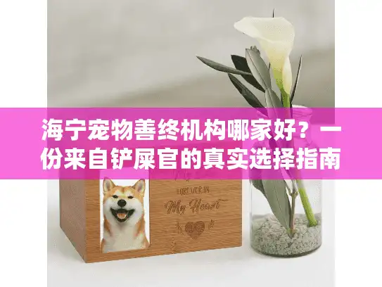 海宁宠物善终机构哪家好？一份来自铲屎官的真实选择指南