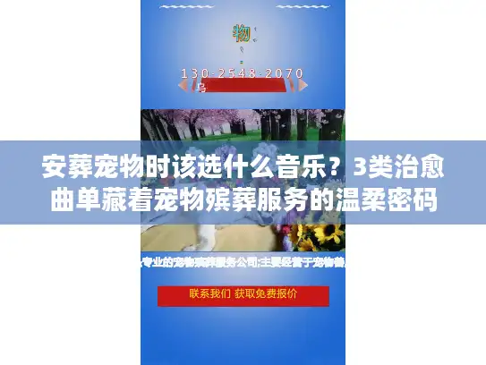 安葬宠物时该选什么音乐？3类治愈曲单藏着宠物殡葬服务的温柔密码