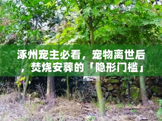 涿州宠主必看，宠物离世后，焚烧安葬的「隐形门槛」你踩过吗？