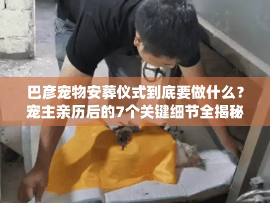 巴彦宠物安葬仪式到底要做什么？宠主亲历后的7个关键细节全揭秘