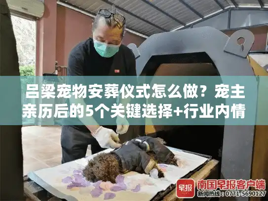吕梁宠物安葬仪式怎么做？宠主亲历后的5个关键选择+行业内情曝光