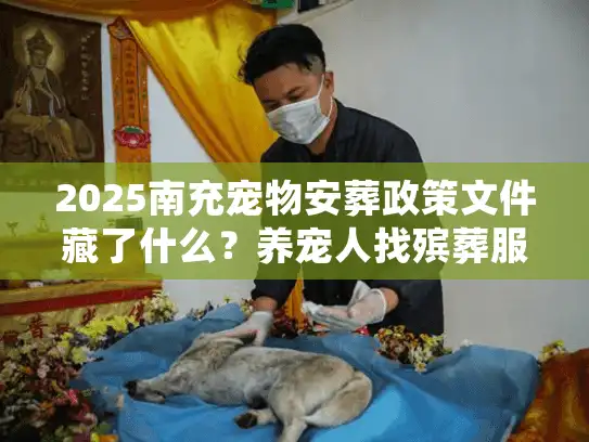 2025南充宠物安葬政策文件藏了什么？养宠人找殡葬服务前不看要吃大亏