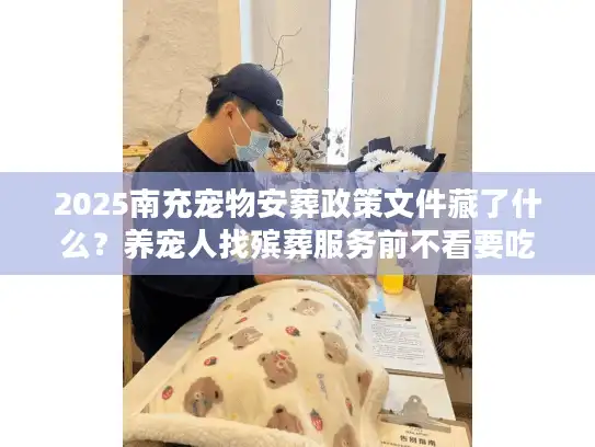 2025南充宠物安葬政策文件藏了什么？养宠人找殡葬服务前不看要吃大亏
