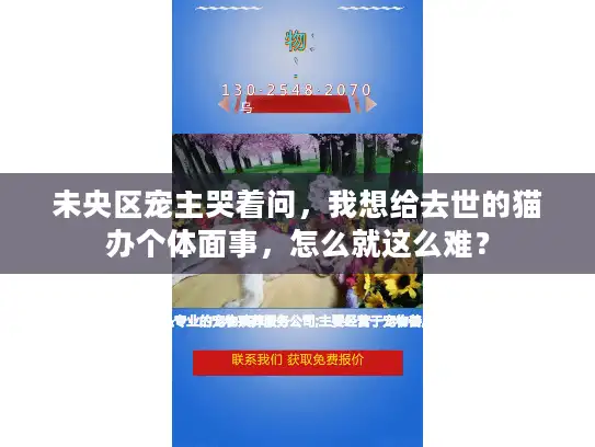 未央区宠主哭着问，我想给去世的猫办个体面事，怎么就这么难？