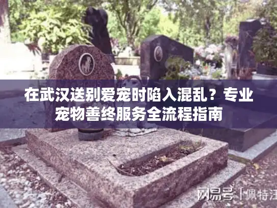 在武汉送别爱宠时陷入混乱？专业宠物善终服务全流程指南