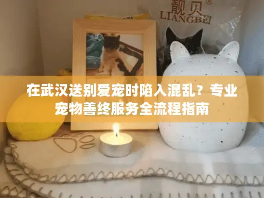 在武汉送别爱宠时陷入混乱？专业宠物善终服务全流程指南