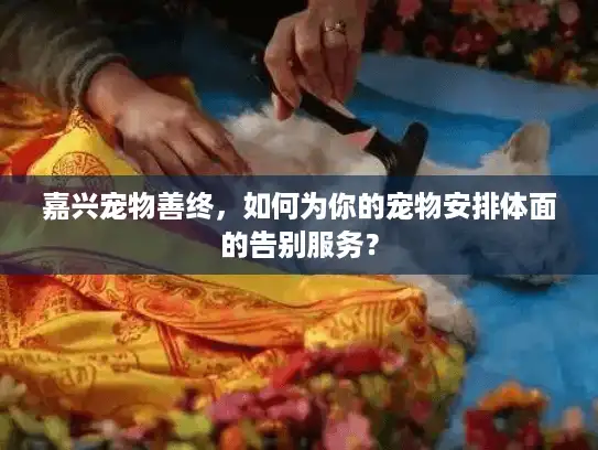 嘉兴宠物善终，如何为你的宠物安排体面的告别服务？