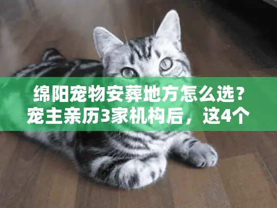 绵阳宠物安葬地方怎么选？宠主亲历3家机构后，这4个真相必须说
