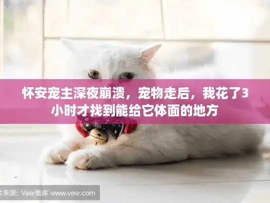 怀安宠主深夜崩溃，宠物走后，我花了3小时才找到能给它体面的地方