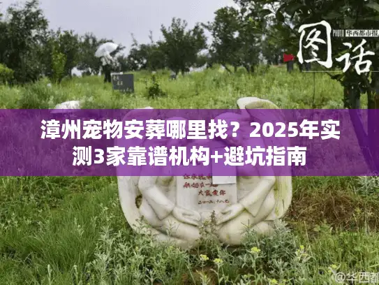 漳州宠物安葬哪里找？2025年实测3家靠谱机构+避坑指南