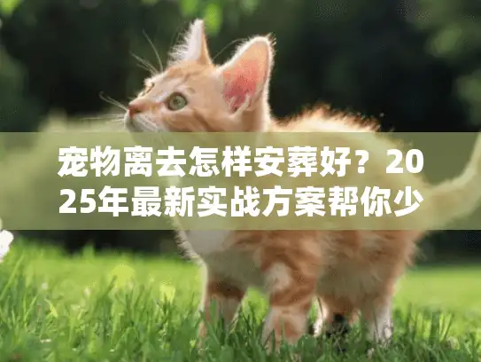 宠物离去怎样安葬好？2025年最新实战方案帮你少走90%弯路
