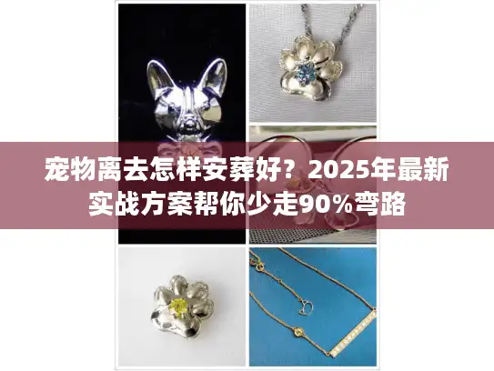 宠物离去怎样安葬好？2025年最新实战方案帮你少走90%弯路