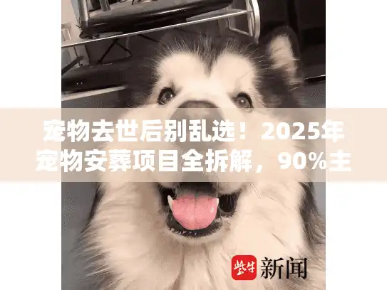 宠物去世后别乱选！2025年宠物安葬项目全拆解，90%主人忽略的3个关键