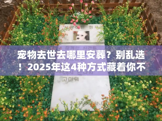 宠物去世去哪里安葬？别乱选！2025年这4种方式藏着你不知道的门道