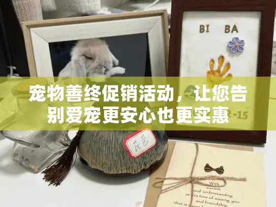 宠物善终促销活动，让您告别爱宠更安心也更实惠