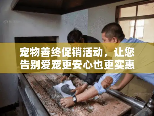 宠物善终促销活动，让您告别爱宠更安心也更实惠