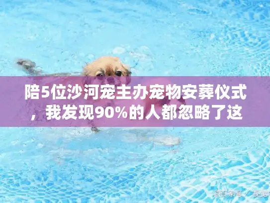 陪5位沙河宠主办宠物安葬仪式，我发现90%的人都忽略了这4个关键