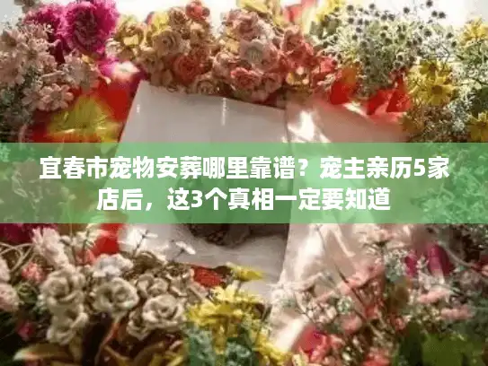 宜春市宠物安葬哪里靠谱？宠主亲历5家店后，这3个真相一定要知道
