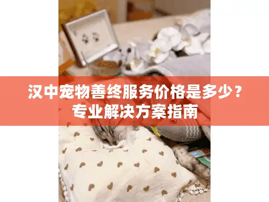 汉中宠物善终服务价格是多少？专业解决方案指南
