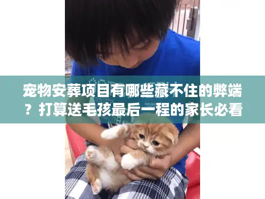 宠物安葬项目有哪些藏不住的弊端？打算送毛孩最后一程的家长必看